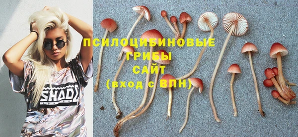 МДПВ Переславль-Залесский