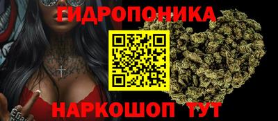 стафф Абакан