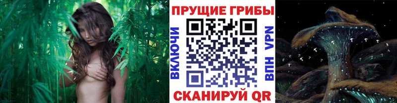 Галлюциногенные грибы MAGIC MUSHROOMS  Серов 